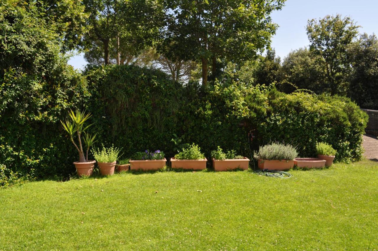 Bed and Breakfast Casale Vicino Al Golf Nazionale Monterosi Exterior foto
